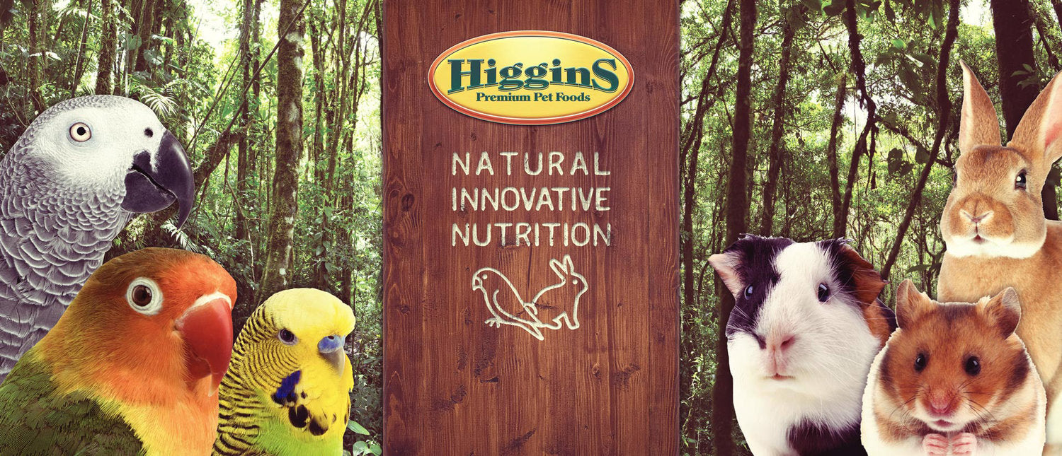 Higgins Premium Pet Foods Bird Food in Birds