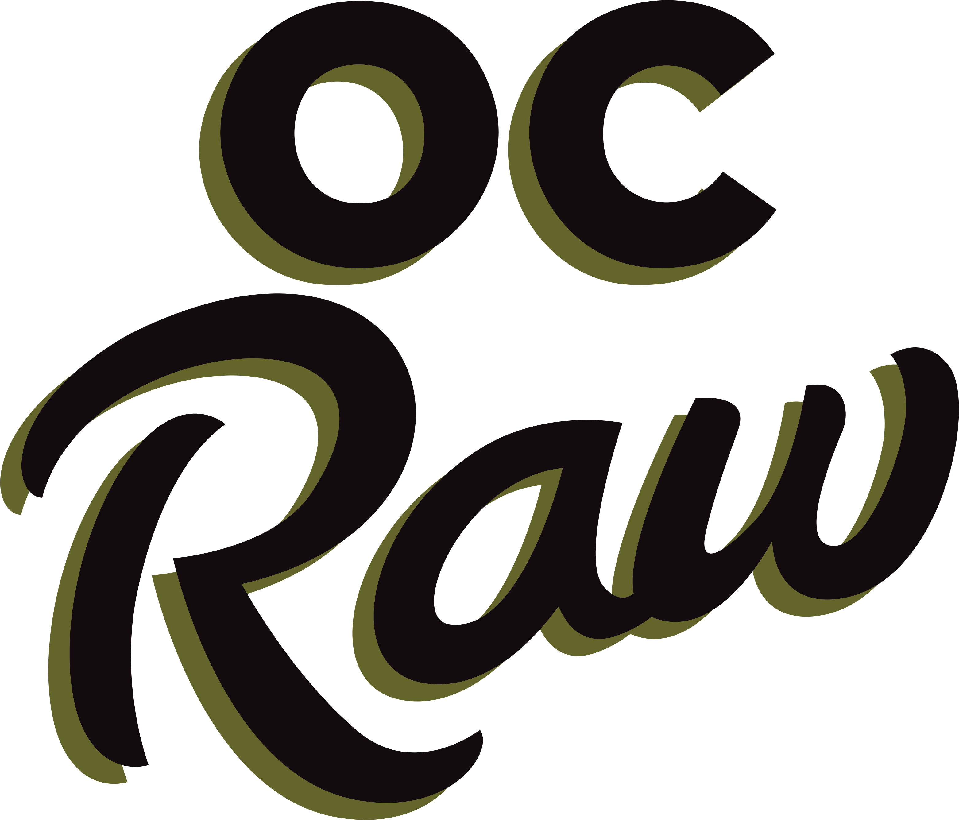OC Raw Dog Frozen Raw Dog Food