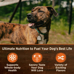 Wellness CORE Natural Wet Grain Free Canned Dog Food, Turkey & Chicken