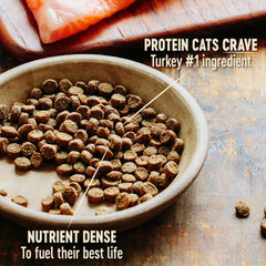 Wellness Natural Pet Food CORE Natural Grain Free Dry Cat Food, Original Turkey & Chicken Recipe