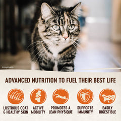 Wellness Natural Pet Food CORE Natural Grain Free Dry Cat Food, Original Turkey & Chicken Recipe