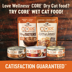 Wellness Natural Pet Food CORE Natural Grain Free Dry Cat Food, Original Turkey & Chicken Recipe