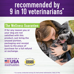 Wellness Pumpkin Patch Flavored Soft Chew Digestive Health Supplements for Dogs