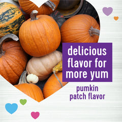 Wellness Pumpkin Patch Flavored Soft Chew Digestive Health Supplements for Dogs