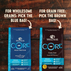 Wellness Core Ocean Dry Dog