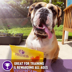 Wellness WellBars Dog Treats, Natural, Training Treat, Grain Free, Crunchy Yogurt, Apples & Banana