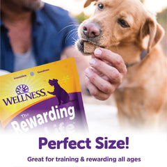 Wellness Rewarding Life Dog Treats, Natural, Training Treat, Grain Free, Soft Beef & Turkey