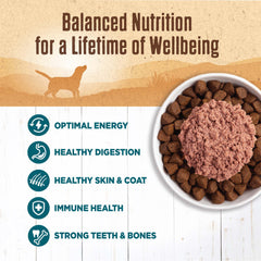Wellness 95% Whitefish Natural Wet Grain Free Canned Dog Food