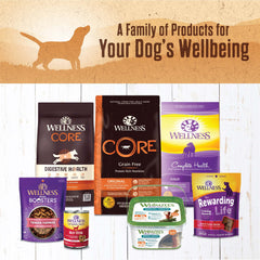 Wellness 95% Whitefish Natural Wet Grain Free Canned Dog Food