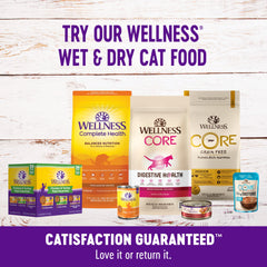Wellness Kittles Crunchy Natural Grain Free Cat Treats, Salmon & Cranberries