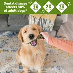 Whimzees Wellness Brushzees Dog Dental Treats, Natural Chews, Large Size Stick