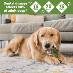 Whimzees Wellness Alligator Dog Dental Treats, Natural Chews, Medium Size