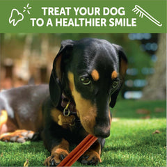Whimzees Wellness Stix Dog Dental Treats, Natural Chews, Small Size Stick