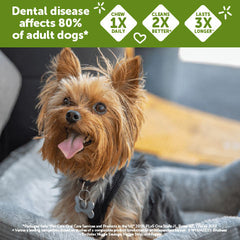 Whimzees Wellness Stix Dog Dental Treats, Natural Chews, Small Size Stick