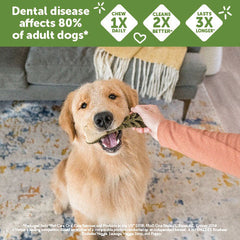 Whimzees Wellness Stix Dog Dental Treats, Natural Chews, Large Size Stick