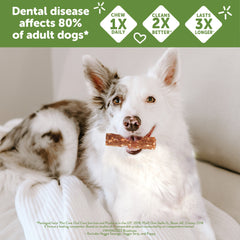 Wellness WHIMZEES Veggie Sausage Dog Dental Treats, Natural Chews, Medium Size Stick