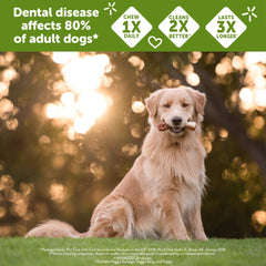 Whimzees Wellness Variety Pack Dog Dental Treats, Natural Chews, Small Size