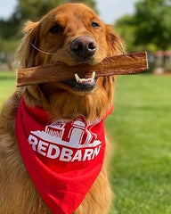 Redbarn Braided Bully Sticks for Dogs - Natural, Grain-Free, Highly Palatable, Long-Lasting Dental Chews Sourced from Free-Range, Grass-Fed Cattle