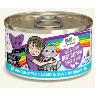 Weruva B.F.F. OMG - Best Feline Friend Oh My Gravy!, Best Day Eva! with Beef & Salmon in Gravy Cat Food