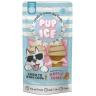 SPOT Pup Ice- Ready to Freeze at Home Dog Treats-Edible Chews for Medium Breed Dogs & Puppies with Real Chicken to Keep Your Pup Cool Year Round