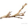 Exo Terra Forest Branches (2 Pack)