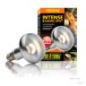 Exo Terra Sun-Glo Basking Infrared Spot Lamp