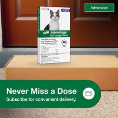 Elanco Advantage™ for Large Cats - 2 Monthly Doses