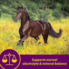 Apple-Dex® Electrolytes – 5 lbs