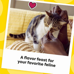 Temptations MixUps Surfer's Delight Flavor Crunchy and Soft Cat Treats, 16 oz. Tub