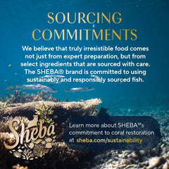 Sheba Perfect Portions Wet Cat Food Pate Savory Chicken Entree, Roasted Turkey Entree, and Tender Beef Entree Variety Pack, 2.6 oz. Twin Pack Trays (24 Count, 48 Servings)