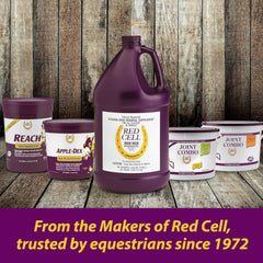 Apple-Dex Electrolytes – 30 lbs