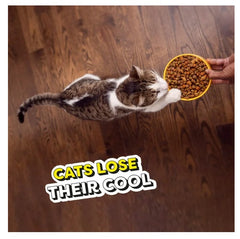 Whiskas Temptations Tasky Chicken Cat Food 13.5 lb