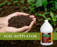 Medina® Soil Activator