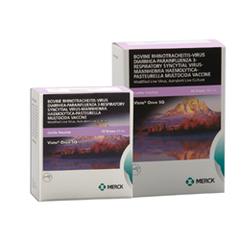 Vista® Once SQ – Cattle Vaccine (10 Dose)