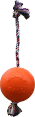 Jolly Pets® Romp-N-Roll Interactive Dog Toy – Orange