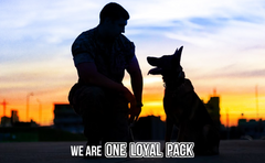 Operation Good Boy Tri-Handled Bite Pillow Tug Dog Toy