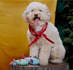 Bark Twins Trout Fish Plush Dog Toy Extra Small / Small