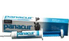 PANACUR® – Horse Dewormer