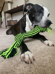 Jolly Pets® Knot-N-Chew (3 Knot) – Dog Toy