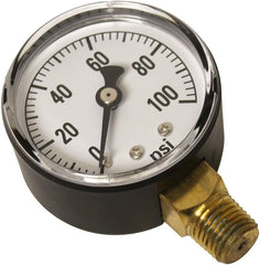 Chapin® Spot Sprayer Gauge (1–100 PSI)