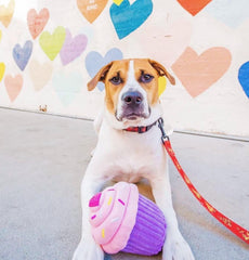 ZippyPaws Pink Cupcake Plush Dog Toy