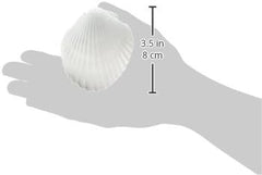 Weco Wonder Shell Natural Minerals for Ponds, Giant