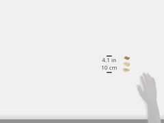 Zoo Med Laboratories Growth Hermit Crab Shells