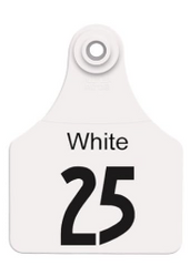 Allflex® Large Ear Tags (25 Count) – White