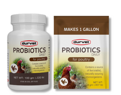 Durvet® Probiotics Daily – Poultry Digestive Health & Electrolyte Supplement