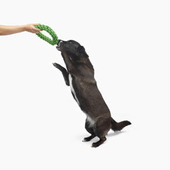 Jolly Pets® Tik Tak Tugzz Rope Dog Toy – O-Shaped