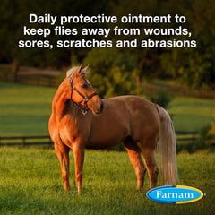 SWAT® Fly Repellent Ointment – 7 oz