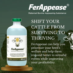 Durvet® FerAppease – 300 mL