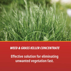 Martin's® Eraser 41% – Concentrated Weed Killer