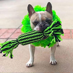 Jolly Pets® Knot-N-Chew Tube Squeaker